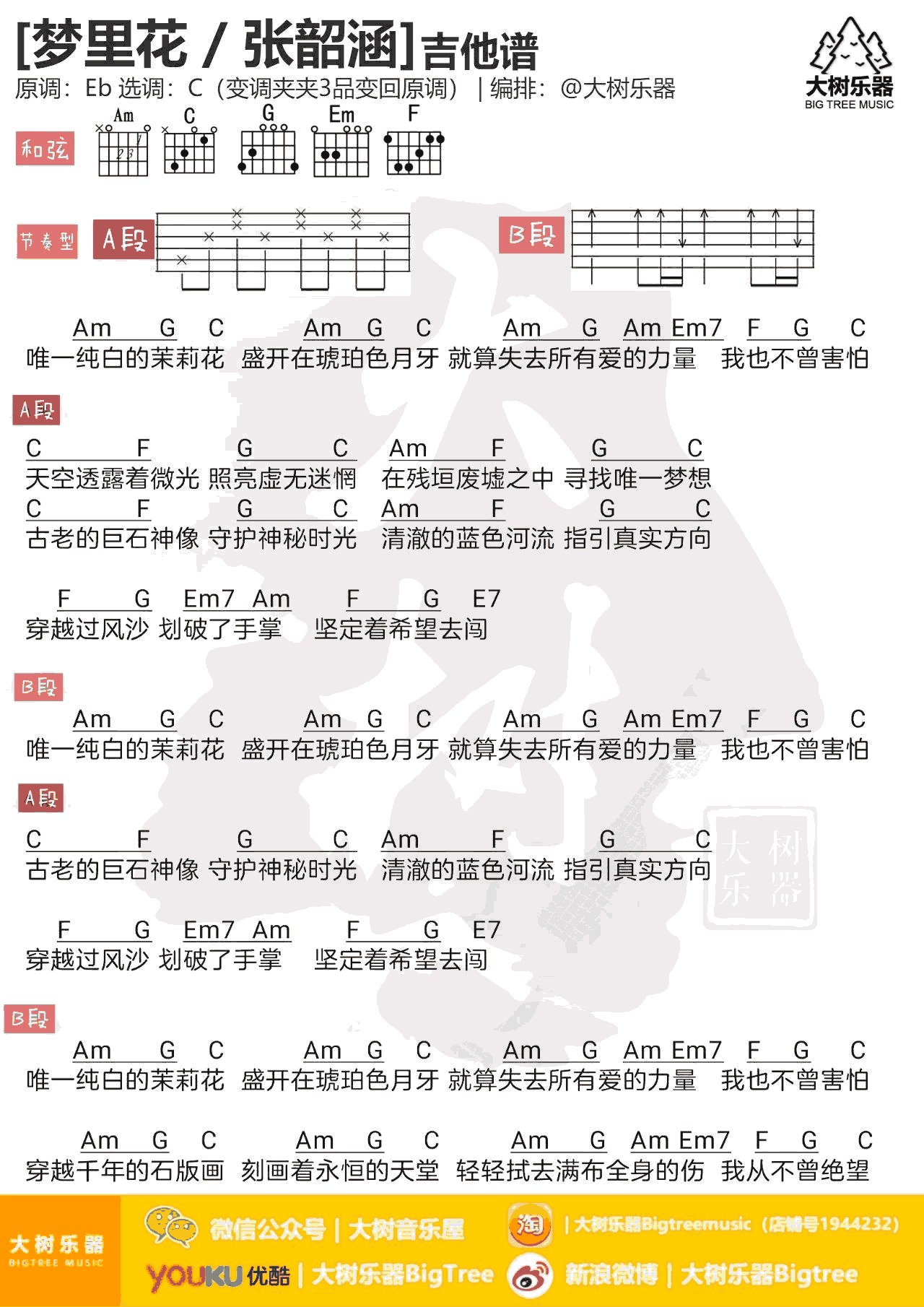 梦里花吉他谱_张韶涵_C调指法弹唱谱_《歌手》节目曲谱-C大调音乐网