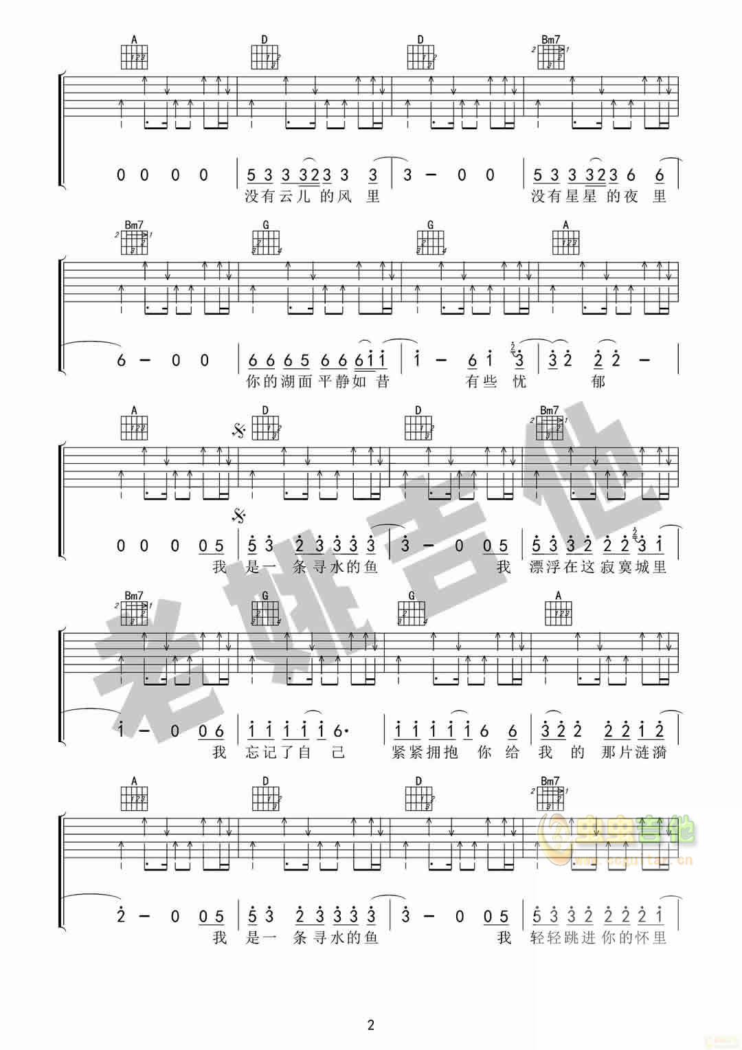 [老姚吉他]《寻水的鱼》许飞 吉他谱-C大调音乐网